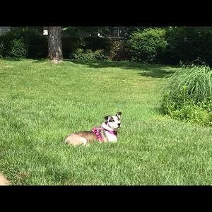 Meet your Posher, Shirley